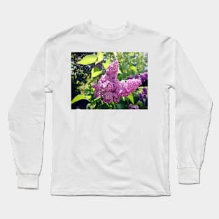 Lilacs bloom Long Sleeve T-Shirt